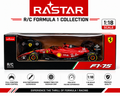 Rastar 1:18 Scale R/C Formula 1 Racing Car | DNM Toys Wholesale
